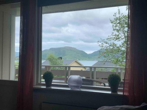 Leilighet med balkong og havutsikt på Napp.