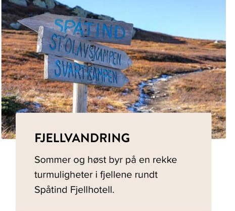 Leilighet til leie på Synnfjellet