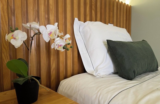 Lencastre House: city and nature