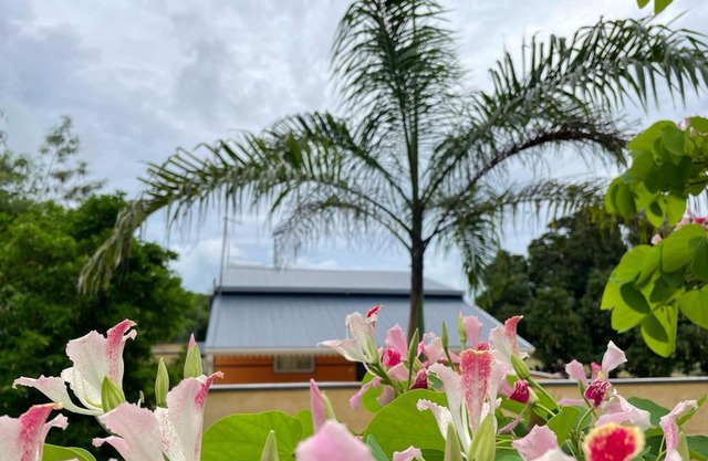 Les Gîtes du Manguier