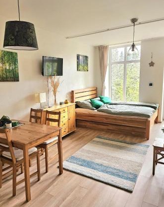 Lesní apartmán Hamry