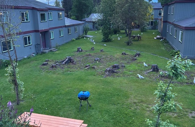 Less than a mile from the mouth of the Kenai River!