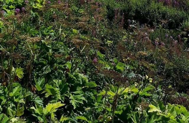 Less than a mile from the mouth of the Kenai River!