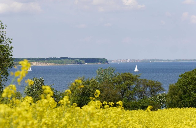 Let your mind wander by the sea in any wind and weather!