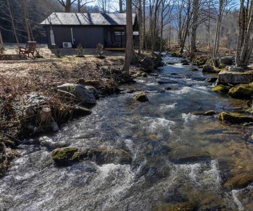 Little Gem Cabin-Pickleball Court, Creek, WIFI, Mountain Views, Starting at 79"