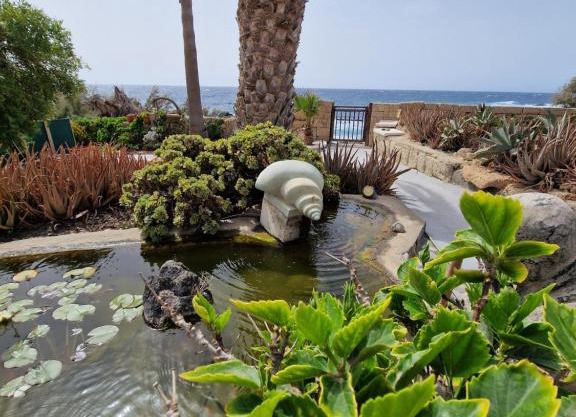 Little Paradise in El Médano 2