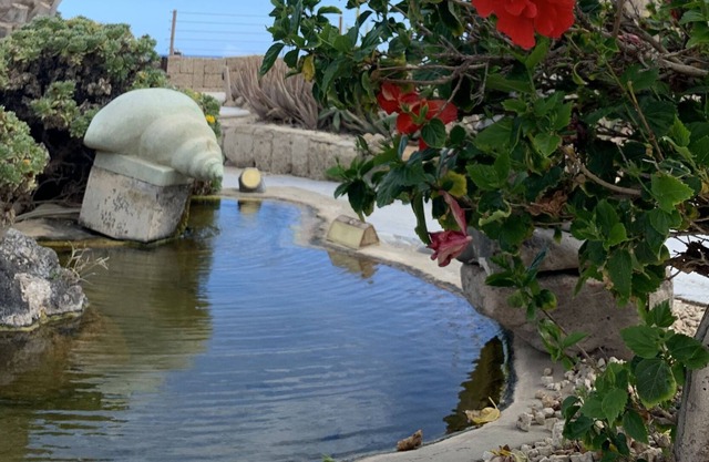 Little Paradise in El Médano 2