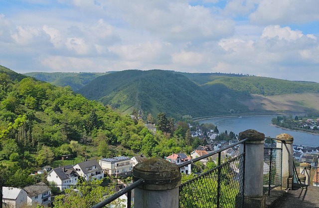 Little Rhine View Château - Harry: Apartment at the largest Rhine bend