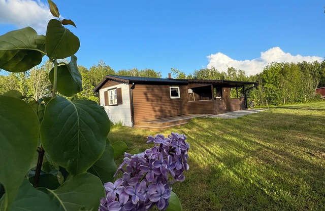 Live in a scenic location, close to hiking trails or cozy cafés