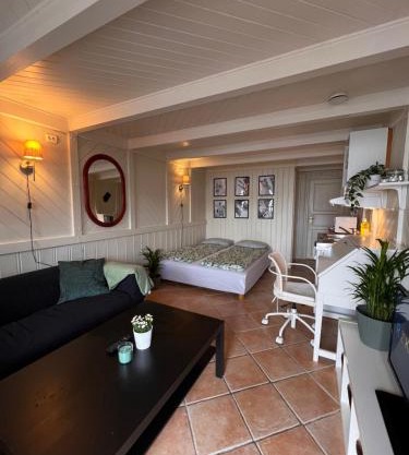 Local small apartment near the beach