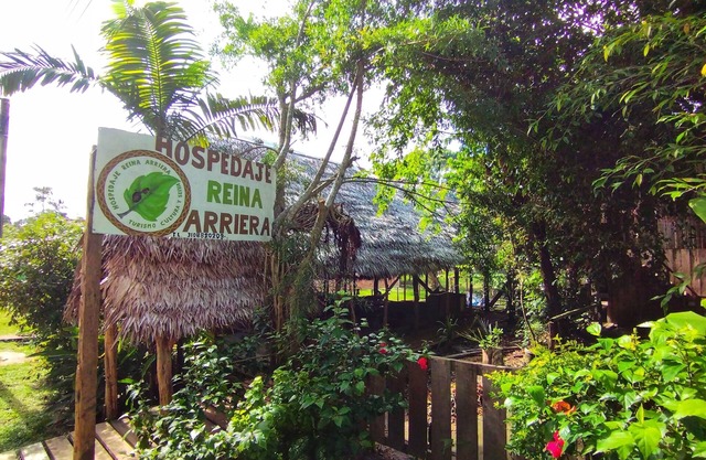 Lodging and tours queen arriera Amazonas Colombia