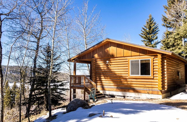Log cabin in the National Forest, full restaurant/bar on site, near ski lift.n