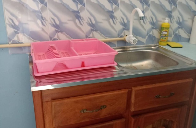 Logerthine Jan Suriname