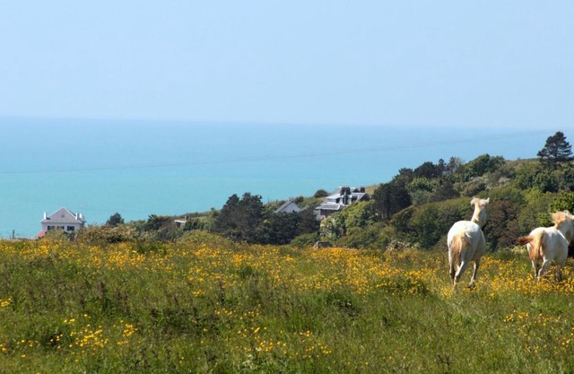 LOGT VUE MER AVEC TRAMPOLINE ET PONEY le long du GR