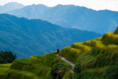 Longsheng Longji Rice Terraces Jingyue Hotel 龙胜龙脊梯田境悦酒店
