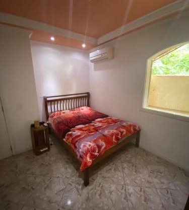 Los gringos del caribe