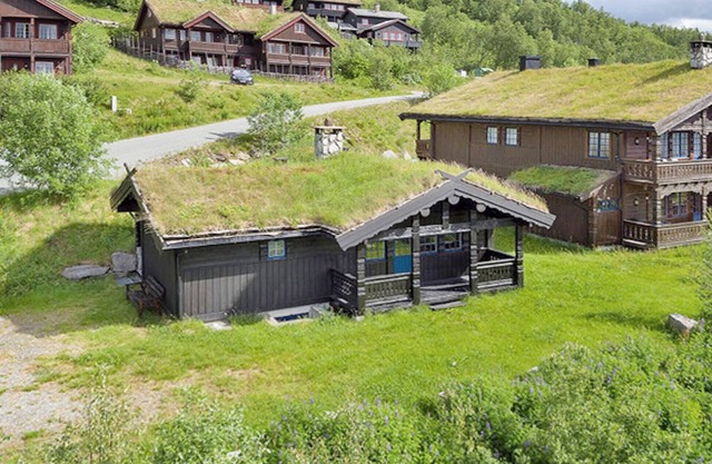 Lovely home in Beitostølen