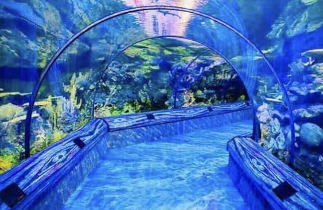 Lovely pool home with screened in patio