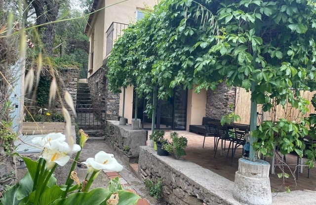 Lovely renovated house with terrace and garden