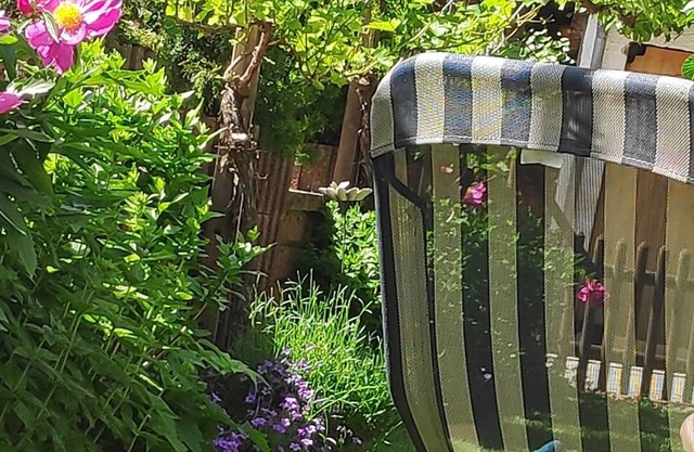 Lovingly and modernly furnished apartment