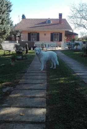 Luciano e Concetta
