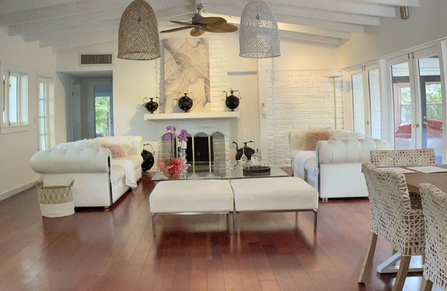 Lush coconut grove oasis