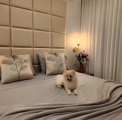 Lux Flamboyant - Marylebone