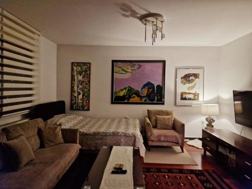 Luxorious apartment in the city