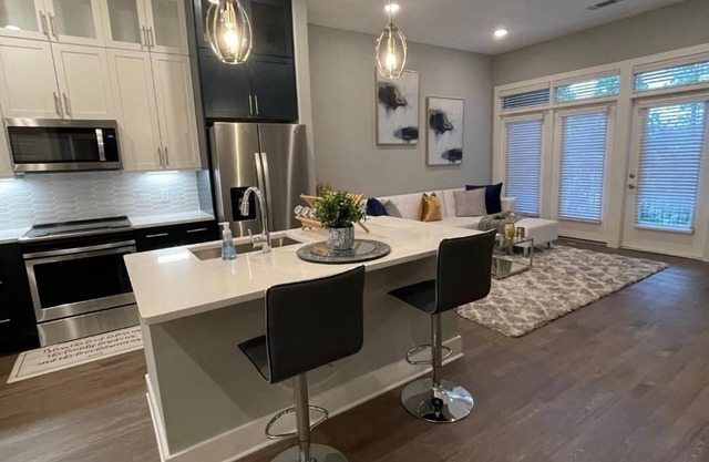 Luxury 1 Bedroom Apt