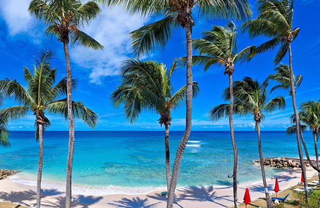 Luxury 3 bedroom beachfront villa w/private jacuzzi