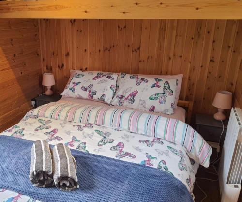 luxury railway carriage with stunning views