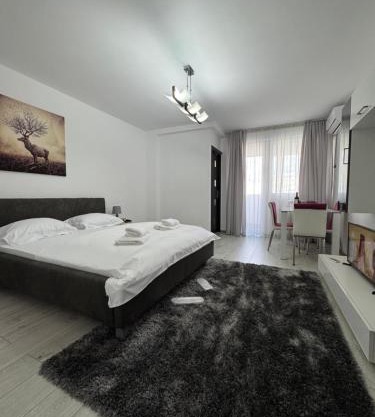 LUXURY studio PLAZA M DRUMUL TABEREI