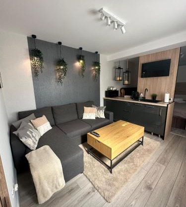 Luxury Studio