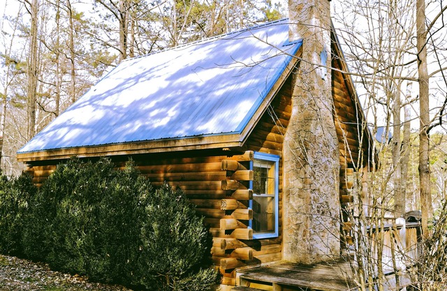 MacLeod cabin in Scottish Woods