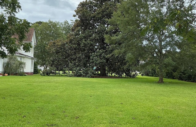 Magnolia House Bed & Breakfast