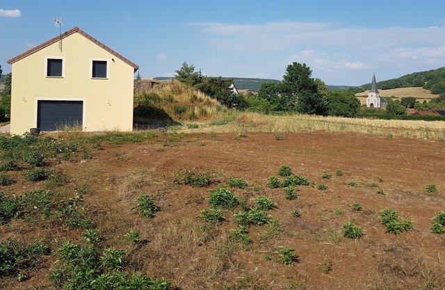 Maison Neuve au Cœur de L'auxois