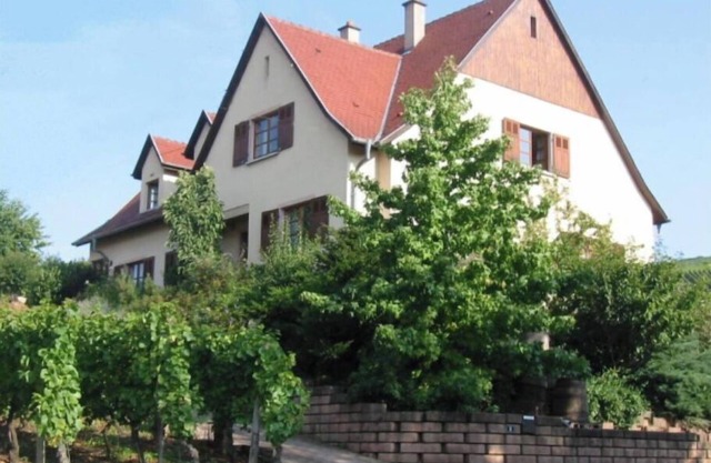 Maison Située Dans le Vignoble, Appartement à L'étage Avec Entrée Indépendante