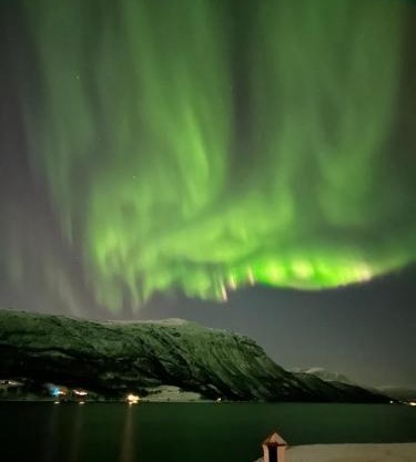 Malangen Arctic Sealodge Cabin 10