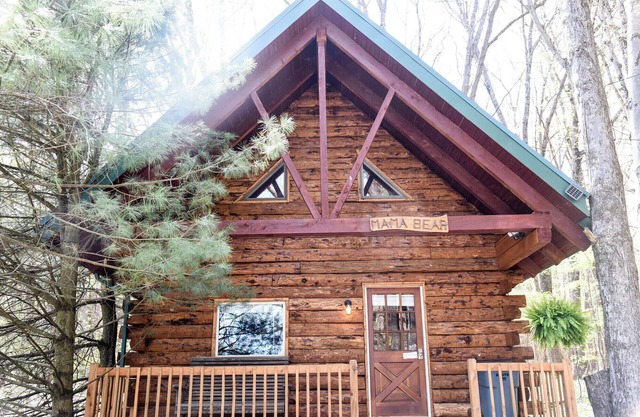 Mama Bear Log Cabin near Cook Forest State Park