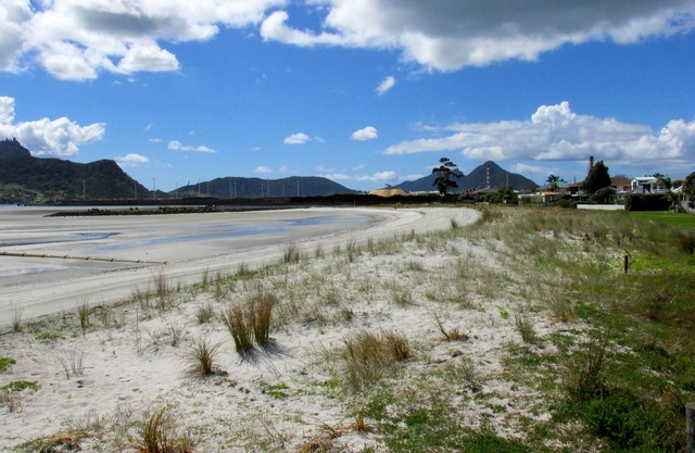 Manaia View Bach - One Tree Point Bach