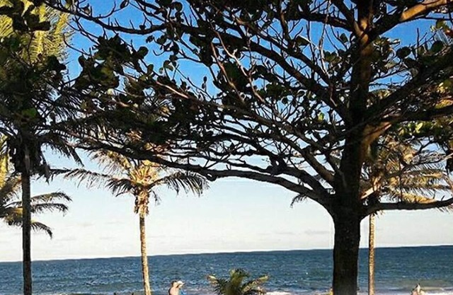 Mar de Guarajuba