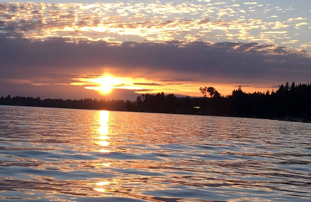 Marina view lake house. Beach & Golf! Dog friendly