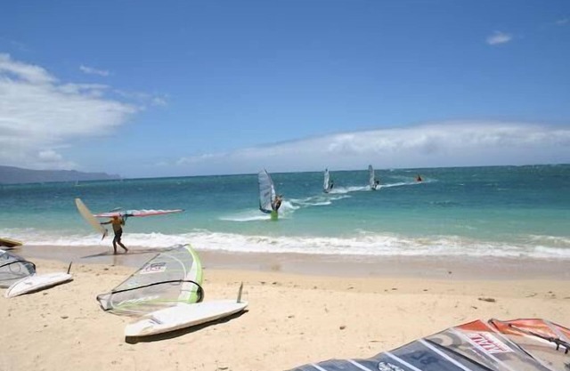 Maui Dream! 4 Units w/Garden Views, Minutes to Maui Nui Botanical Gardens!