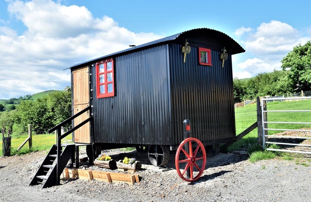 Meadow Shepherds hut