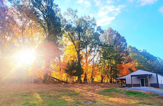 Meadow Wood Cottage nPeaceful, Relaxing Luxury in the Country