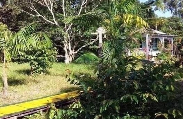 Mermaid Hotel Amazon