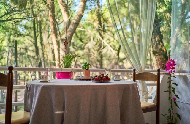 Metamorfosi pine forest view