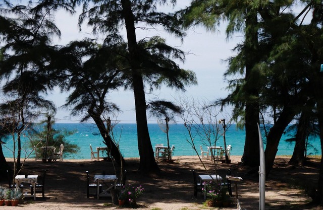 Micky Monkey Beach Hotel Phuket Maikhao Thailand