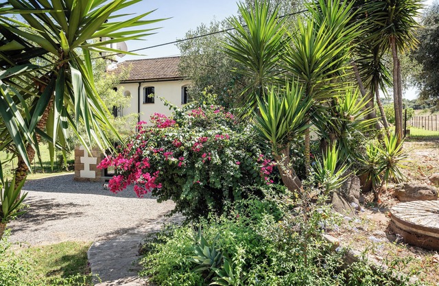 Mill house on Organic Cork and Cattle Farm with Summer Camp for Children