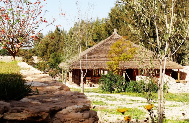 Mimosa chalet Indonésie.